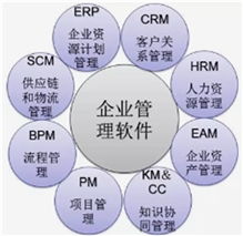企业管理服务